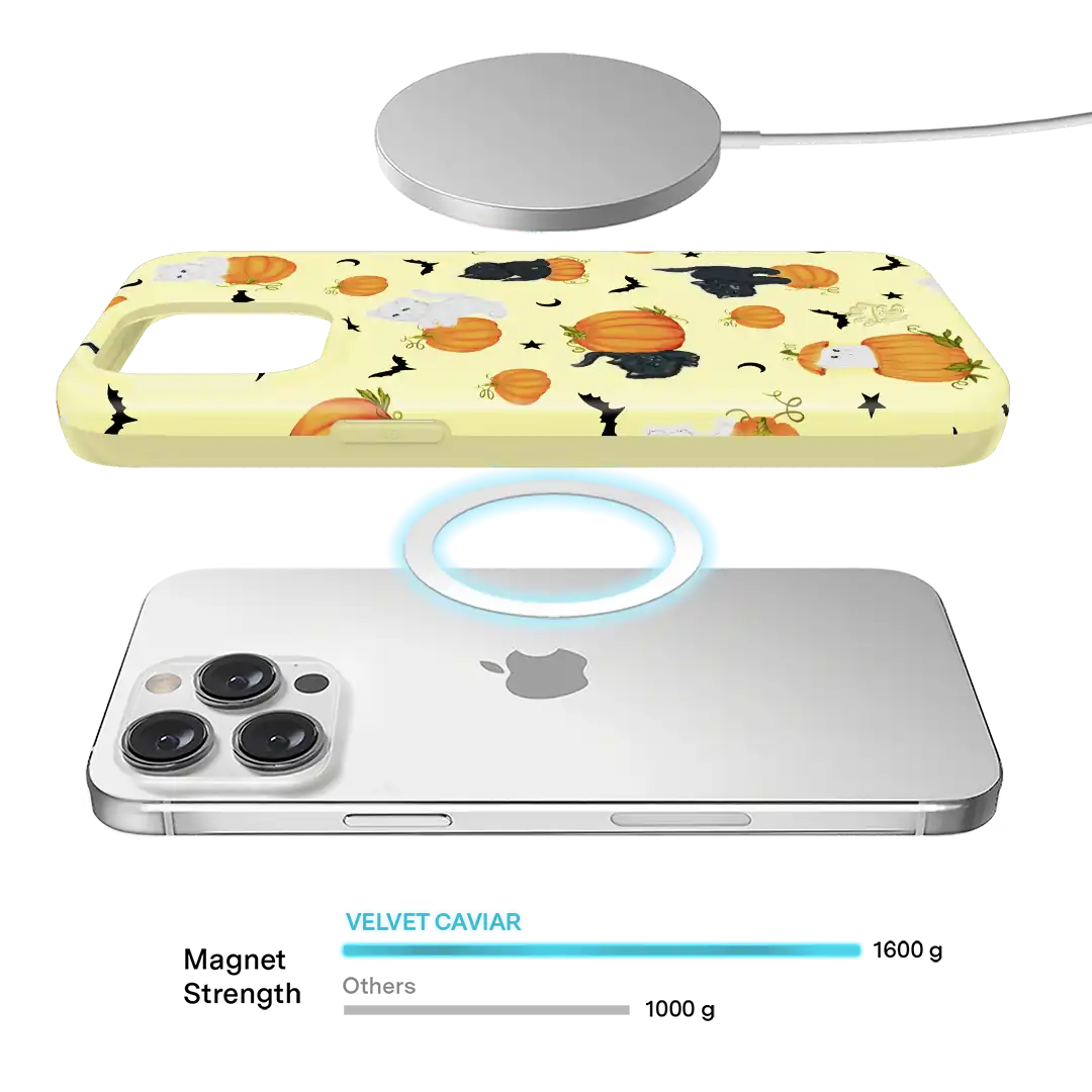 Purrfect Pumpkins iPhone Case