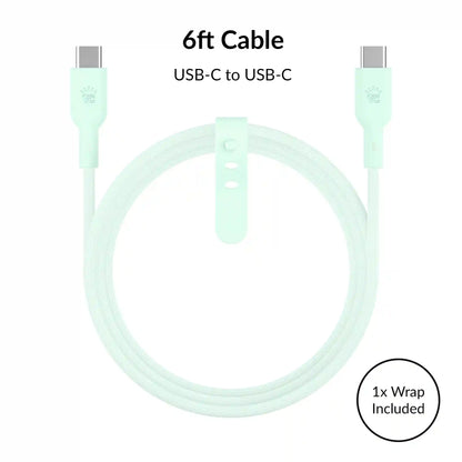 Mint Fast Charging Set, Dual Port Wall Adapter + 6ft USB-C Cable